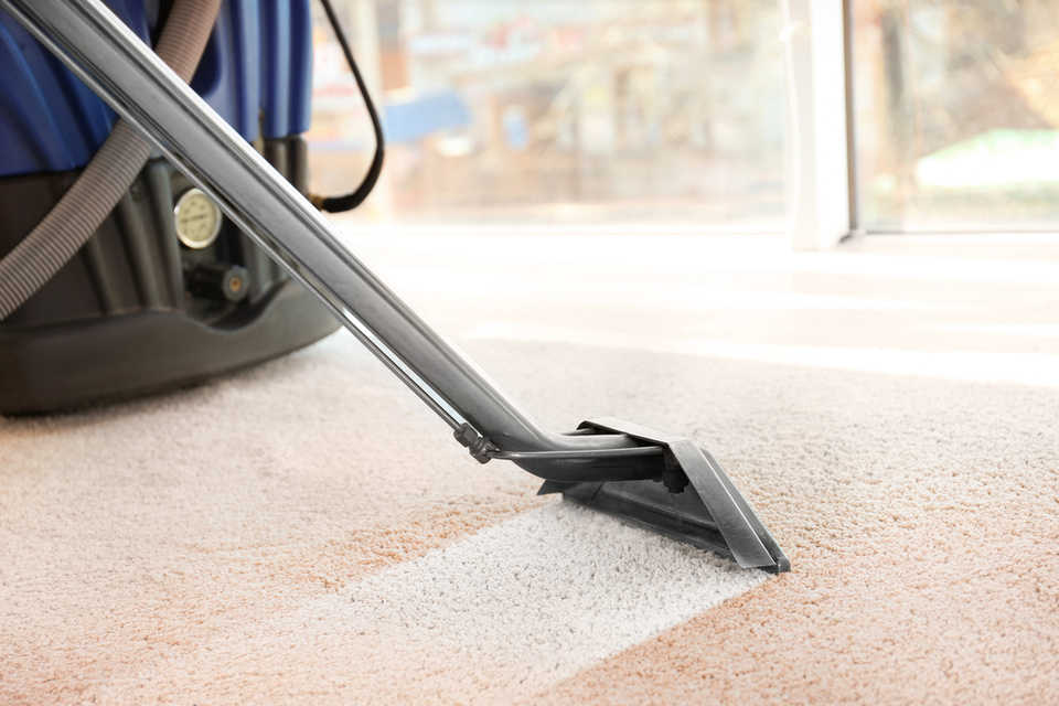 Cleaner vacuuming carpet