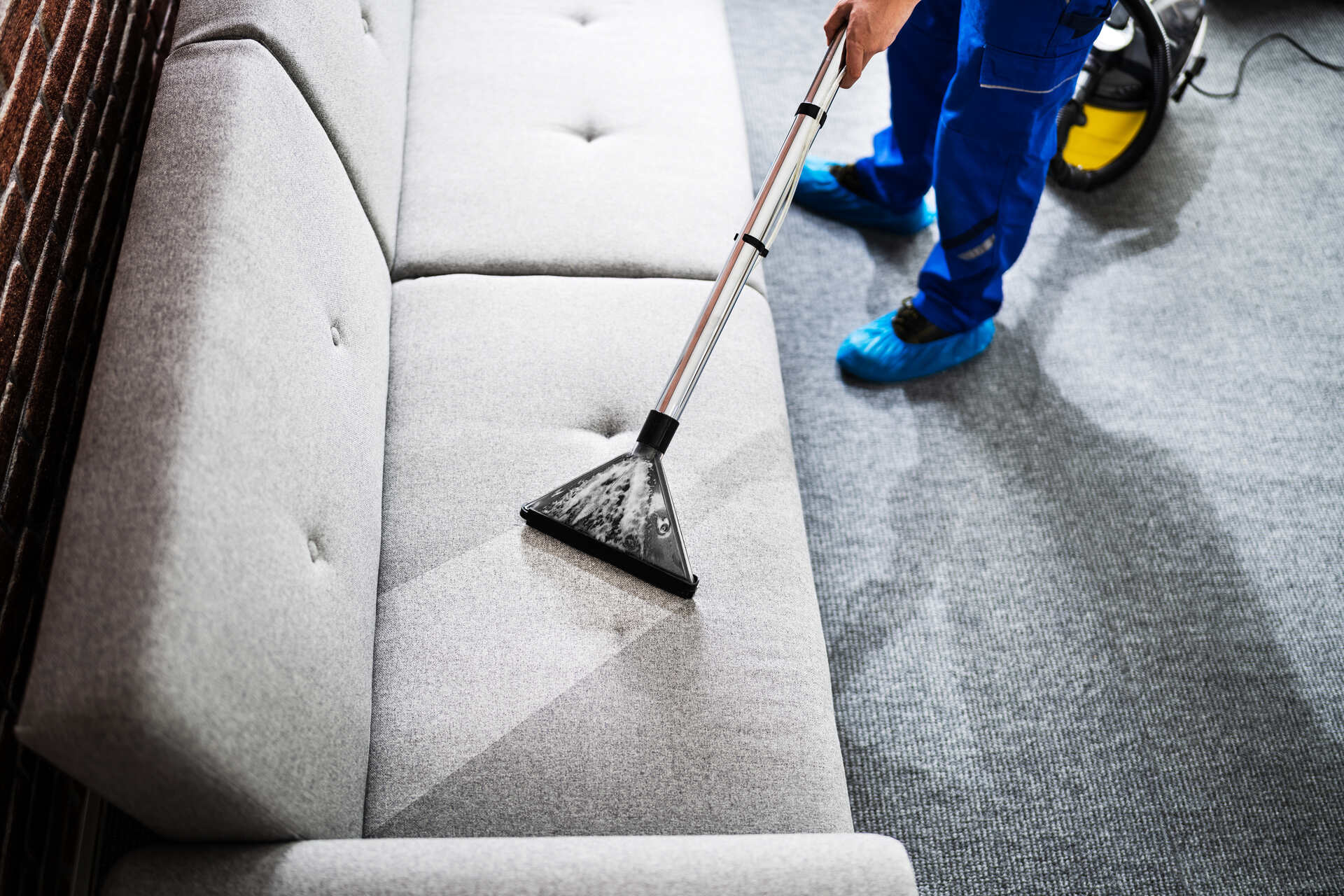 Cleaner cleaning sofa